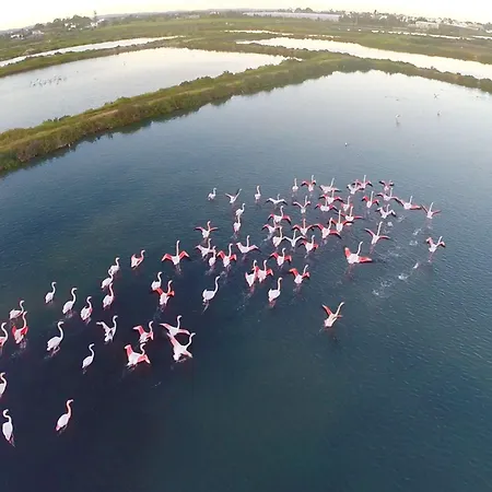 Real Marina & Hotel Olhão