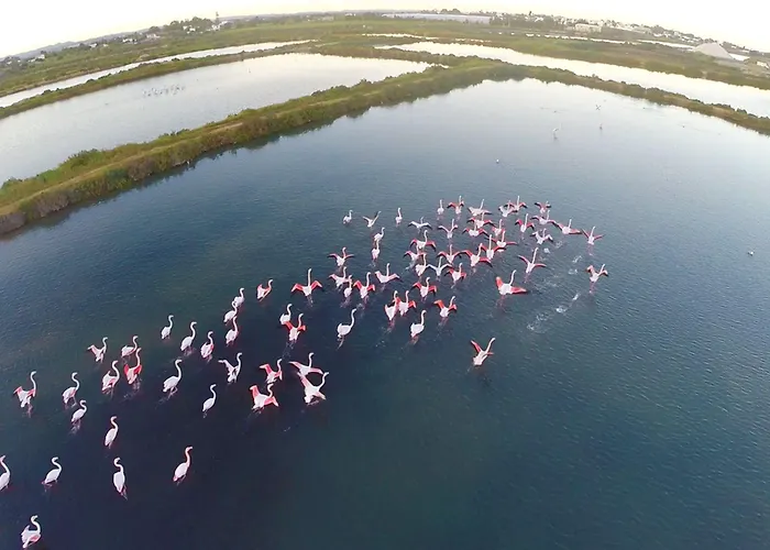 Real Marina & Hotel Olhão